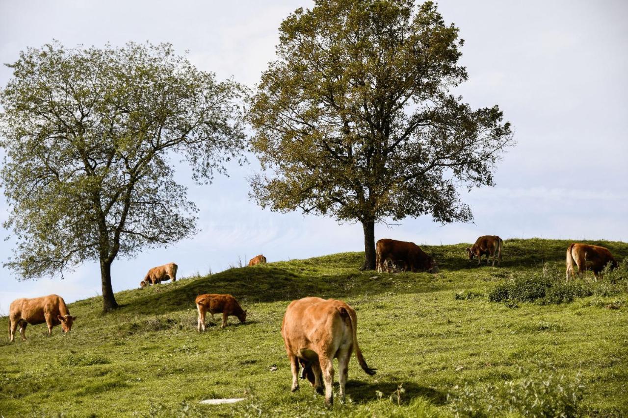 El Serradell Agroturisme Sant Joan de les Abadesses Eksteriør billede
